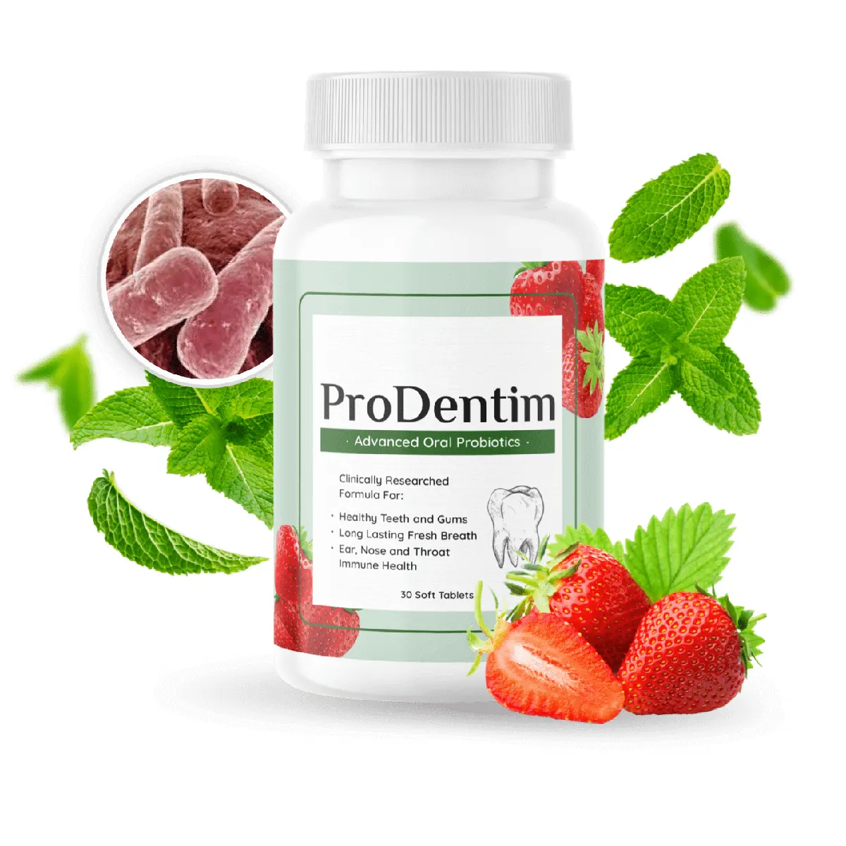 ProDentim Ingredients